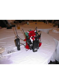 Monday - Security dragon